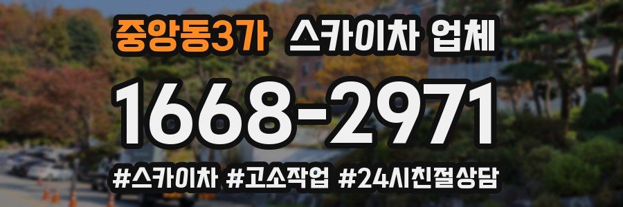 중앙동3가 스카이차 업체