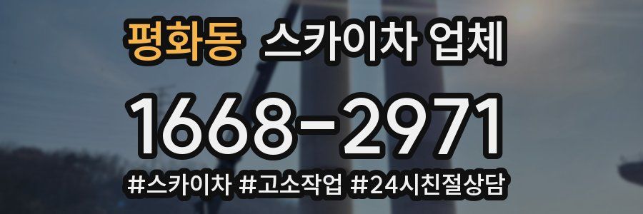 평화동 스카이차 업체