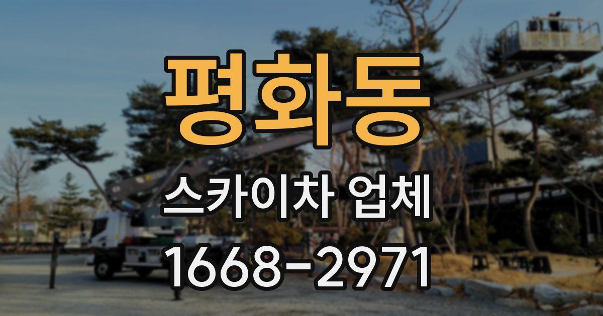 평화동 스카이차 업체