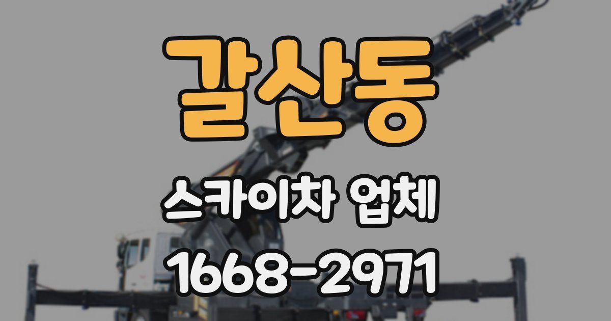 갈산동 스카이차 업체