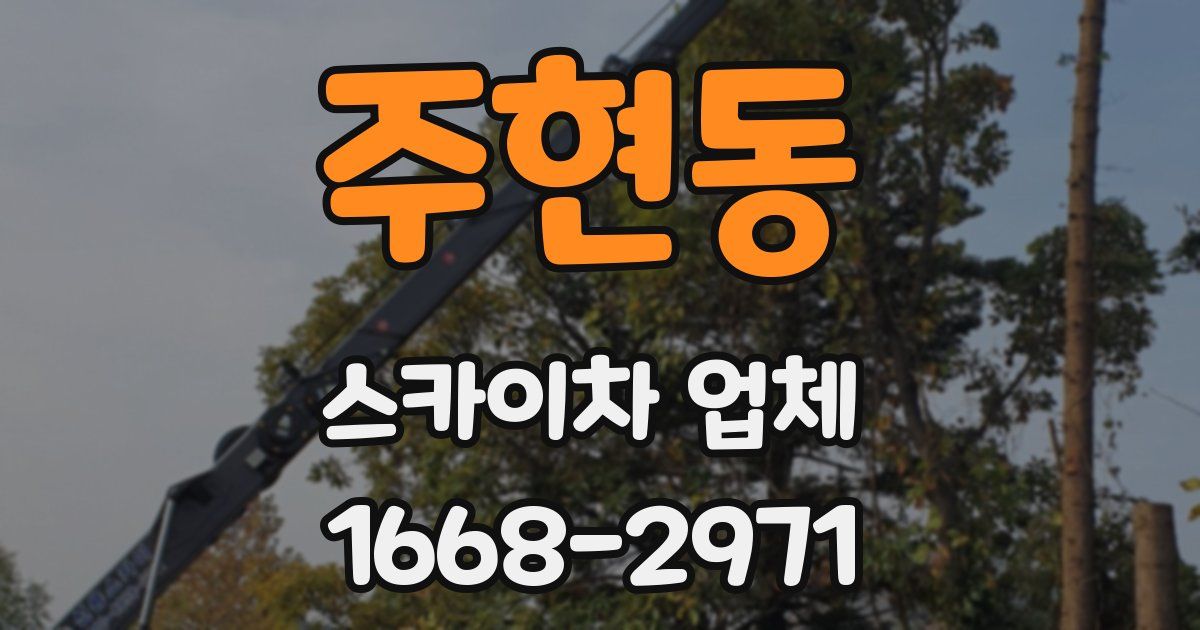 주현동 스카이차 업체