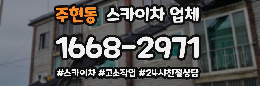 주현동 스카이차 업체