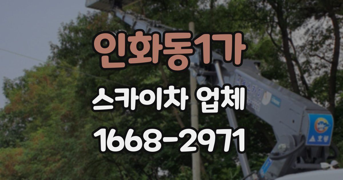 인화동1가 스카이차 업체