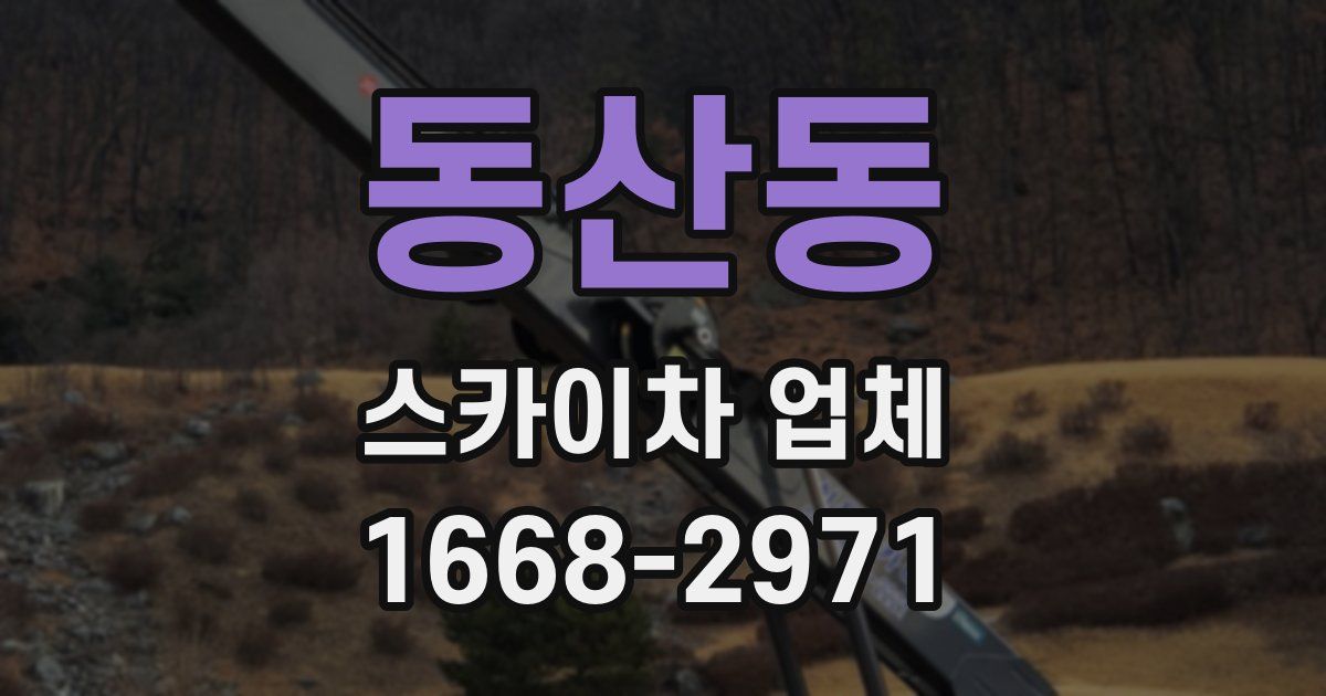 동산동 스카이차 업체