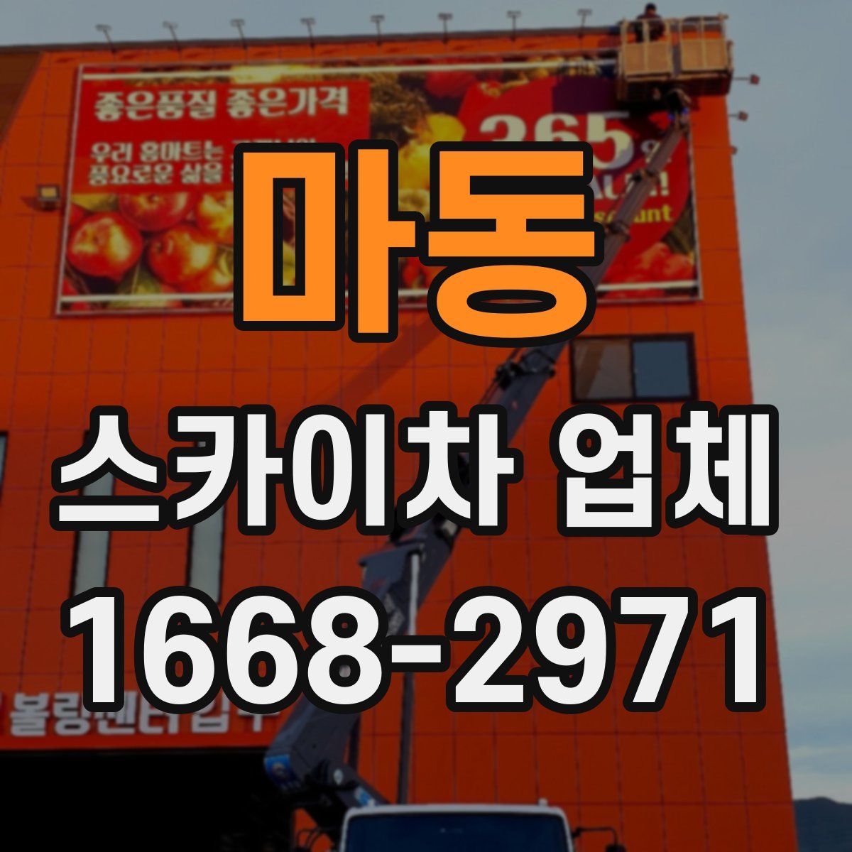 마동 스카이차 업체