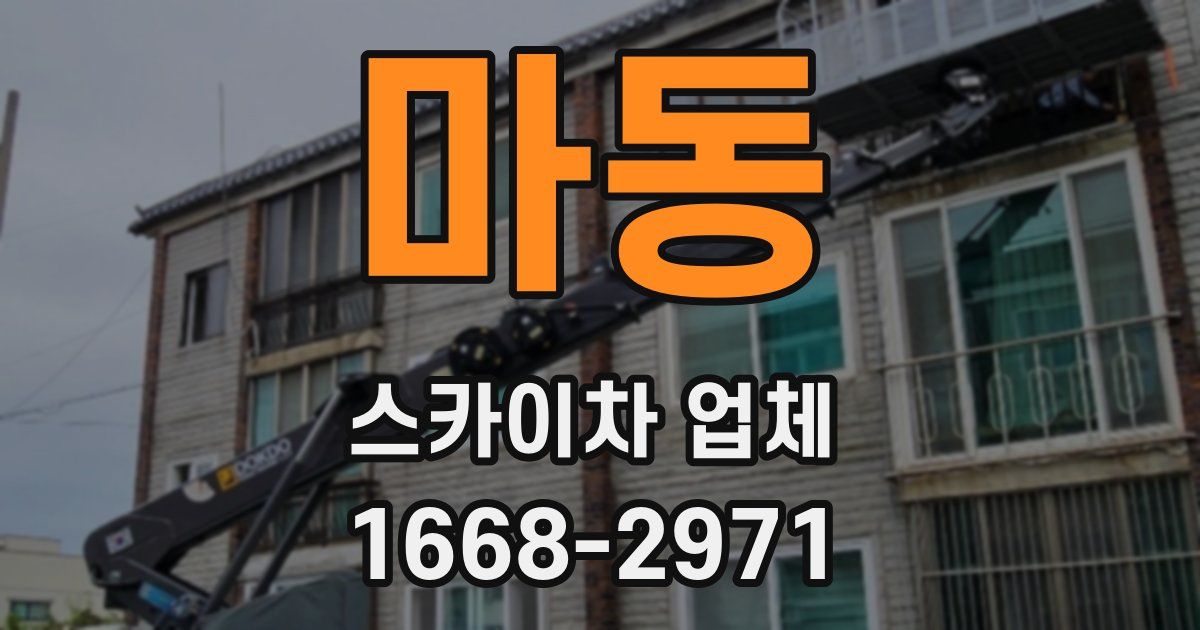 마동 스카이차 업체