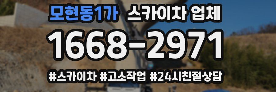 모현동1가 스카이차 업체
