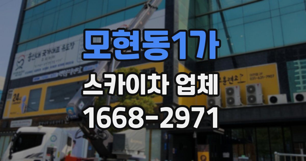 모현동1가 스카이차 업체