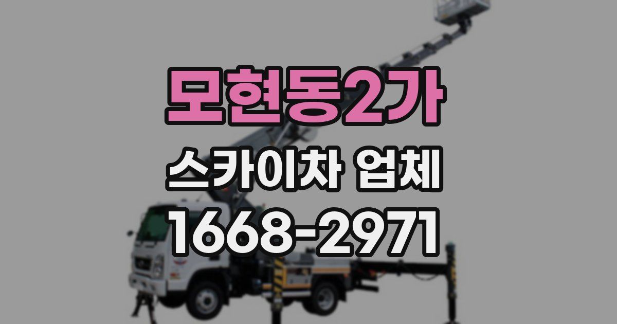 모현동2가 스카이차 업체