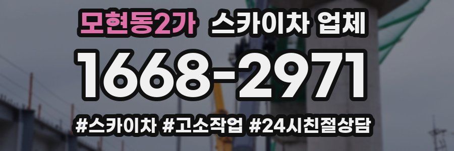 모현동2가 스카이차 업체