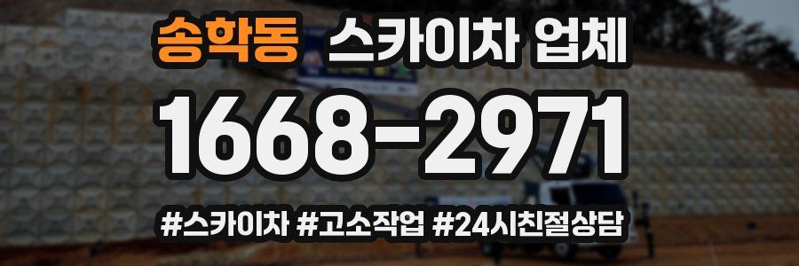 송학동 스카이차 업체