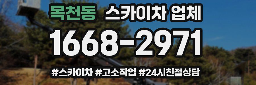 목천동 스카이차 업체