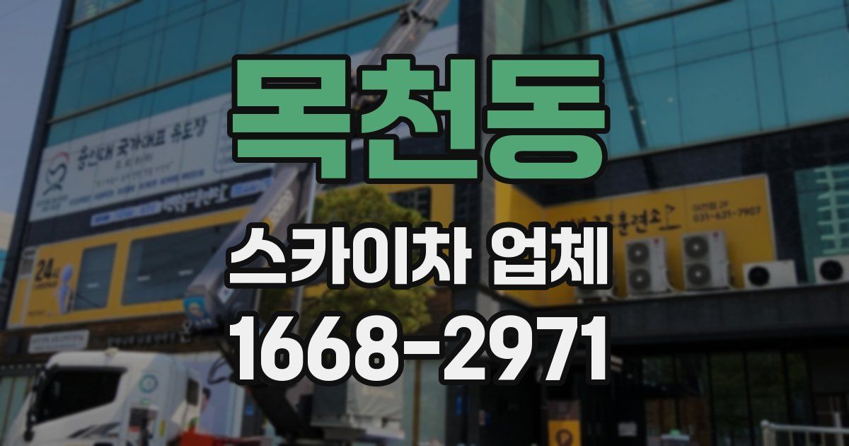 목천동 스카이차 업체