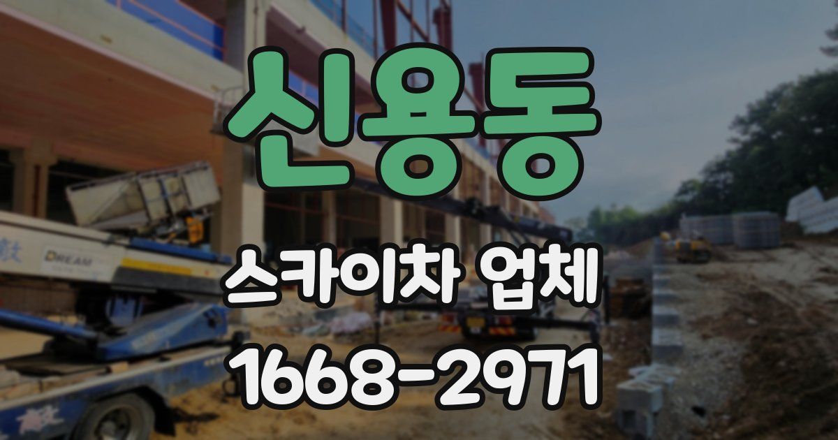 신용동 스카이차 업체