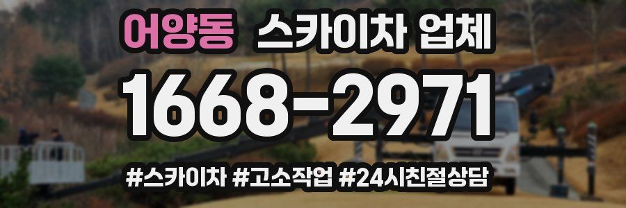 어양동 스카이차 업체