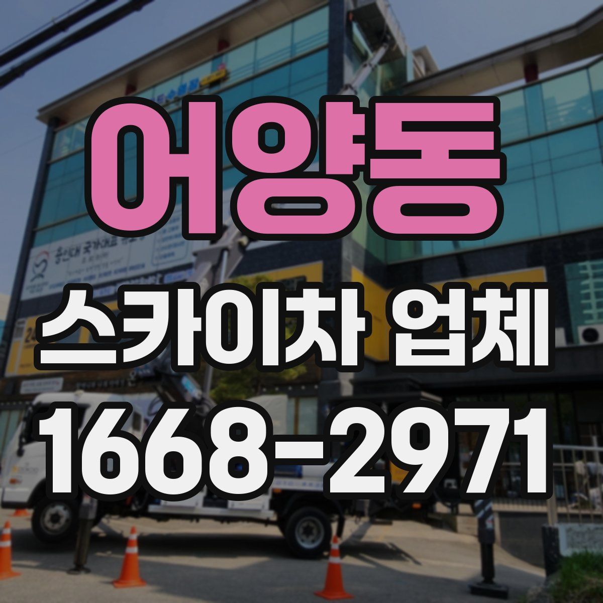 어양동 스카이차 업체