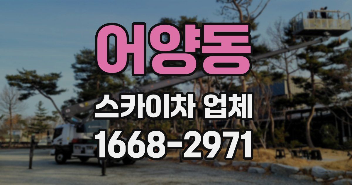 어양동 스카이차 업체