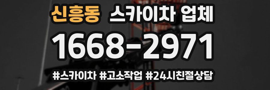 신흥동 스카이차 업체