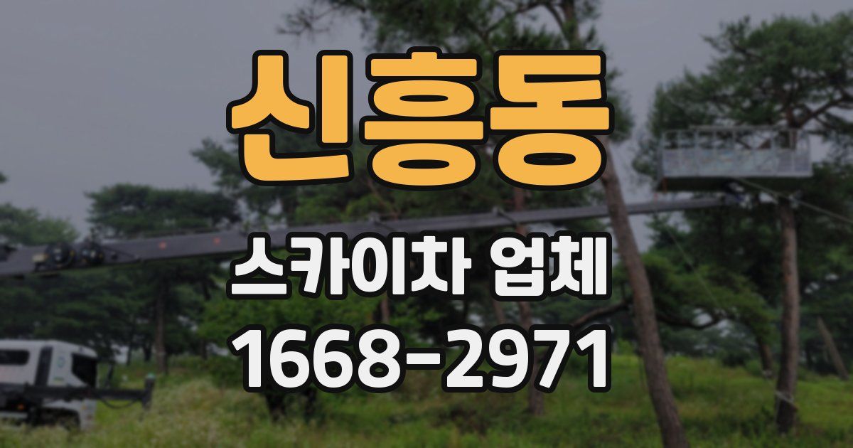 신흥동 스카이차 업체