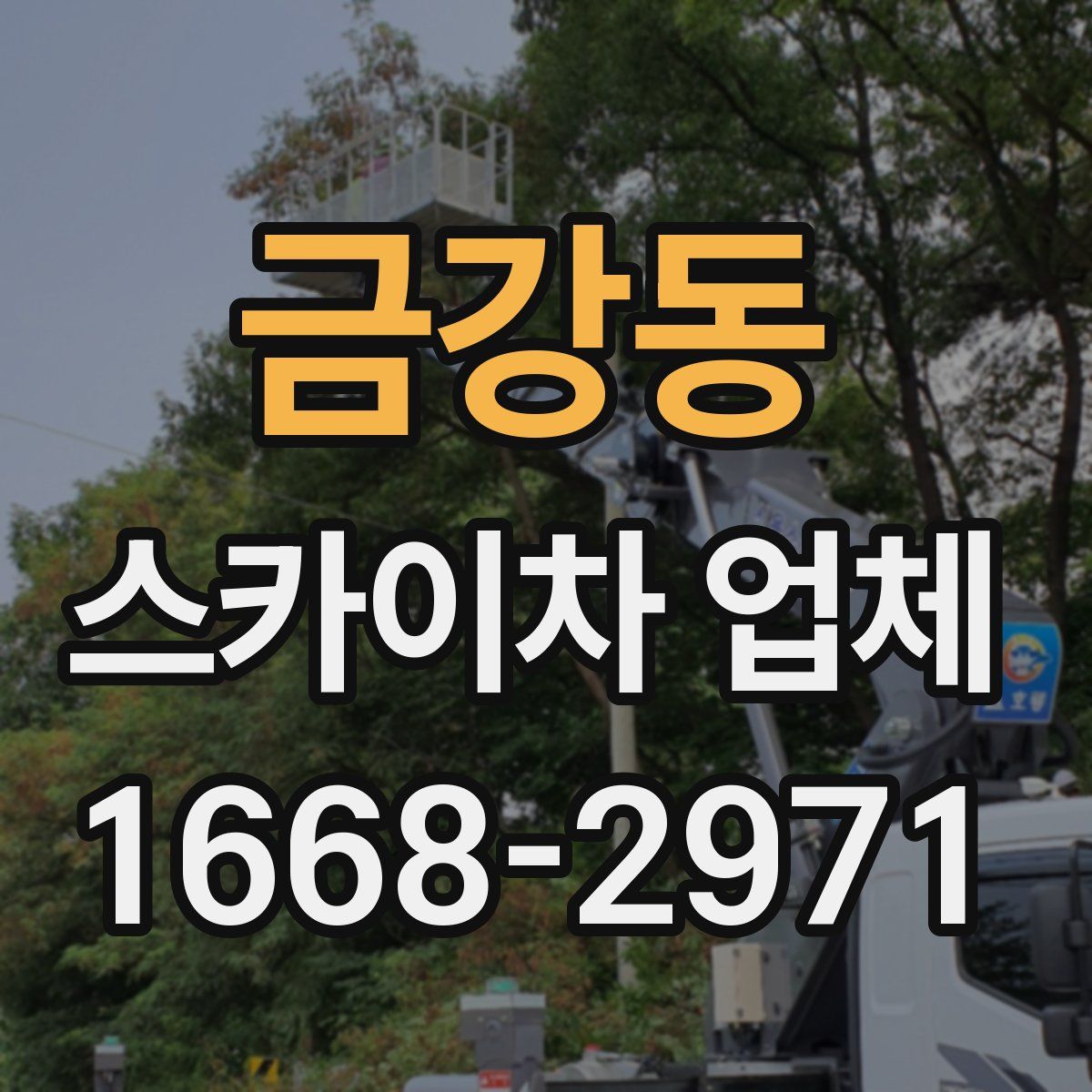 금강동 스카이차 업체
