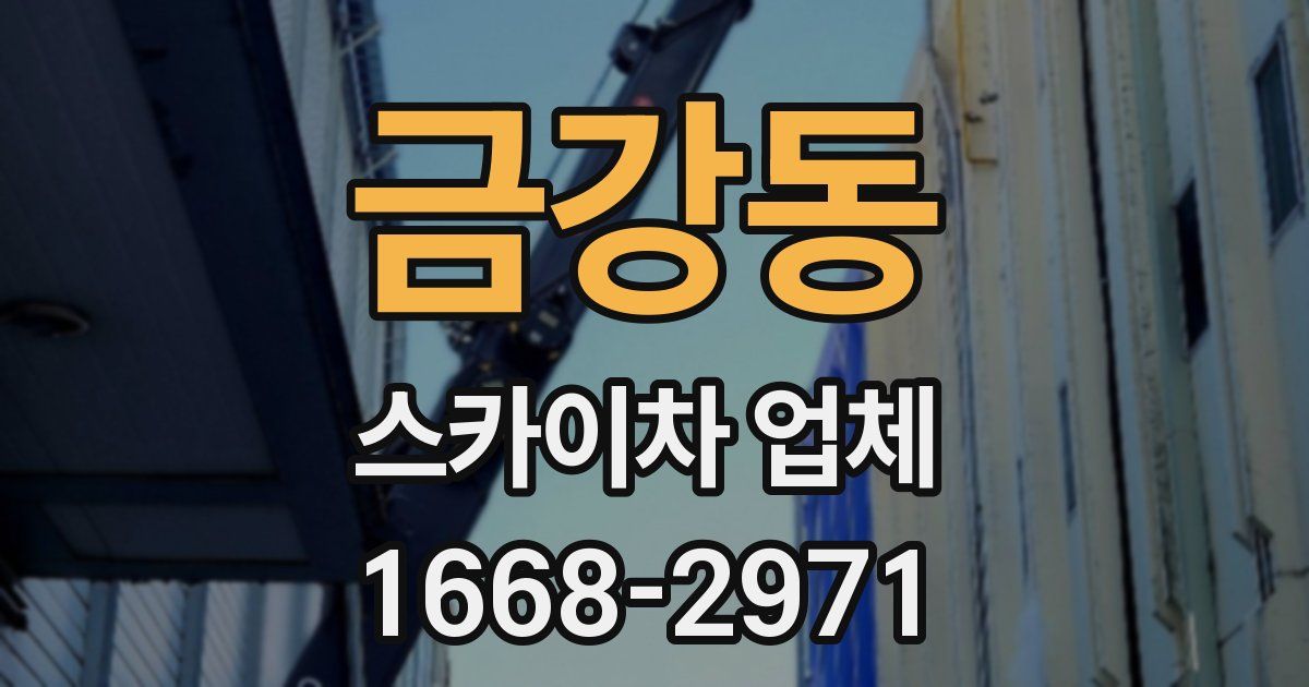 금강동 스카이차 업체