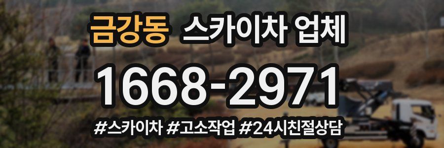 금강동 스카이차 업체