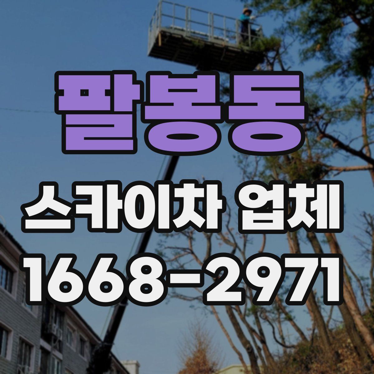 팔봉동 스카이차 업체