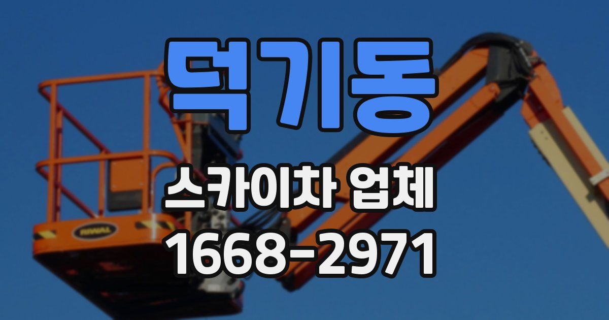 덕기동 스카이차 업체