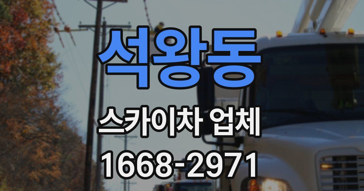 석왕동 스카이차 업체
