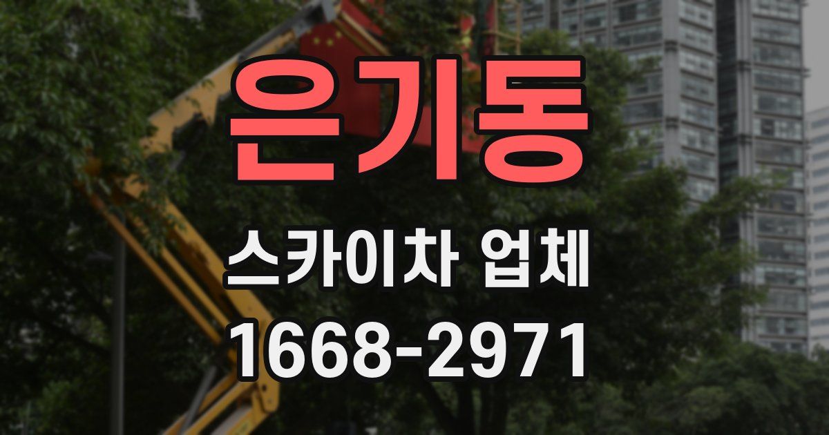 은기동 스카이차 업체