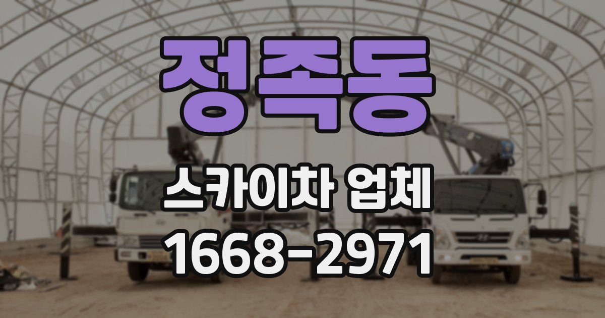 정족동 스카이차 업체