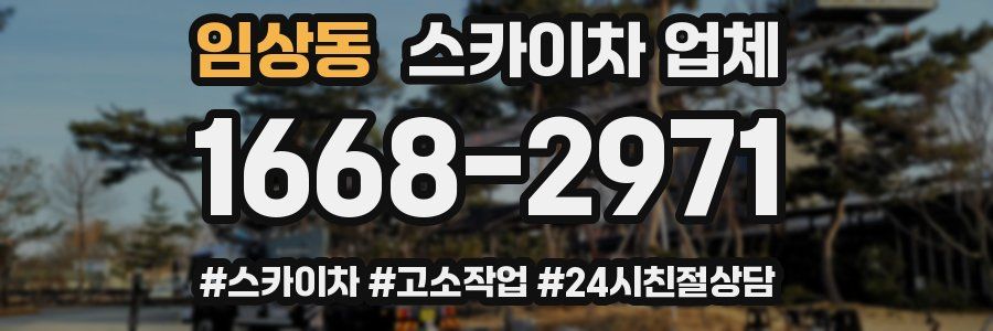 임상동 스카이차 업체