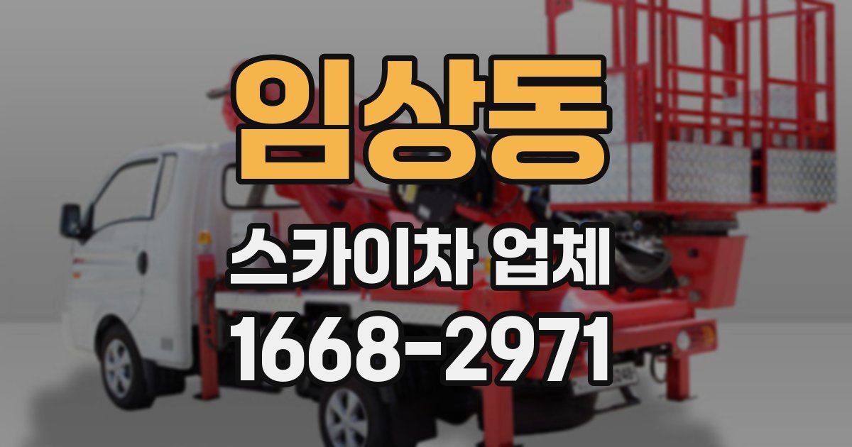 임상동 스카이차 업체