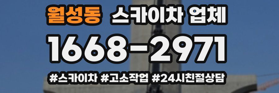 월성동 스카이차 업체