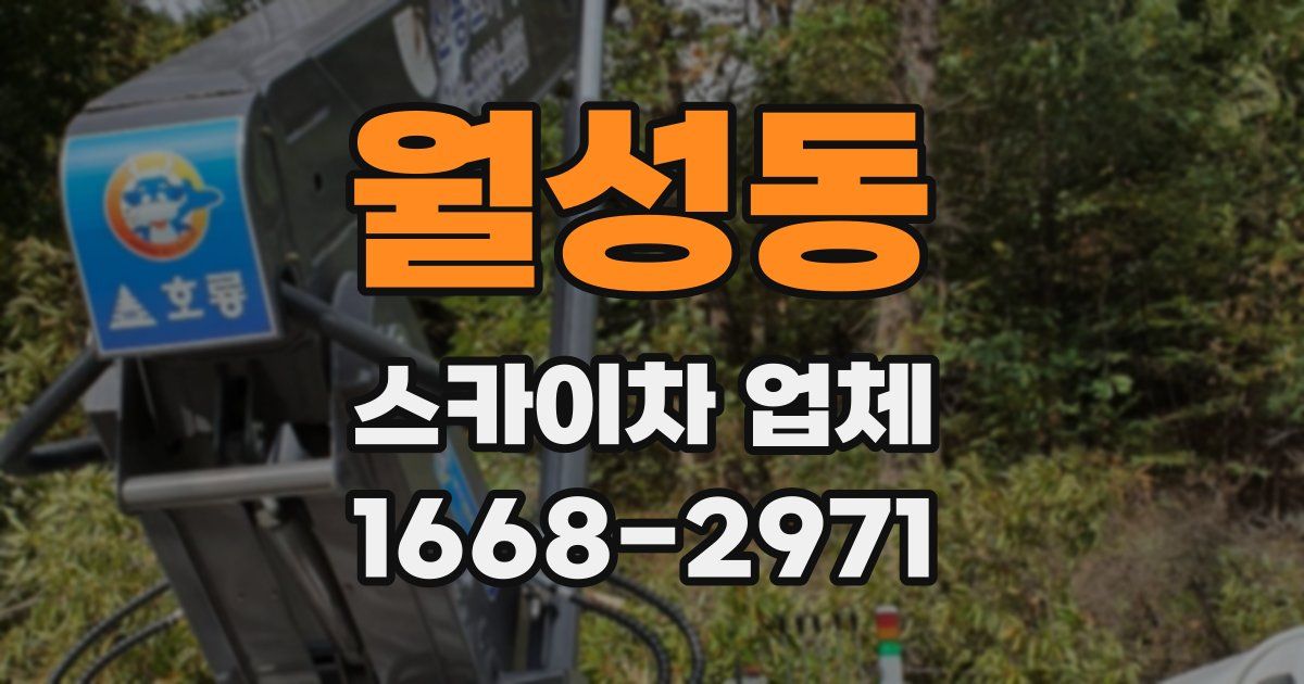 월성동 스카이차 업체