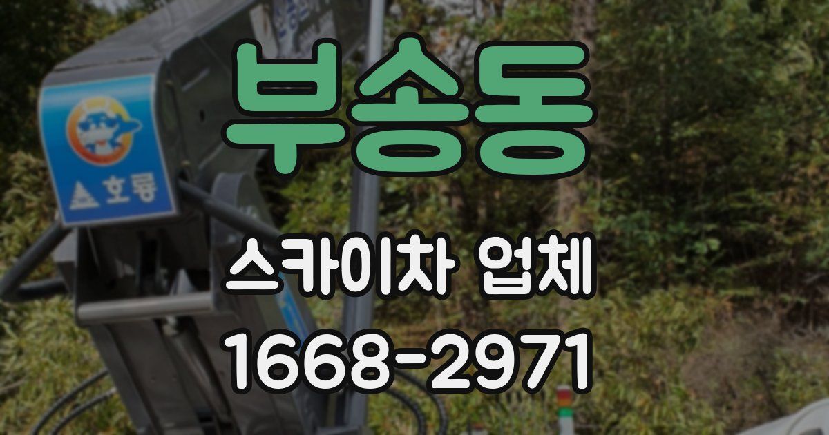 부송동 스카이차 업체