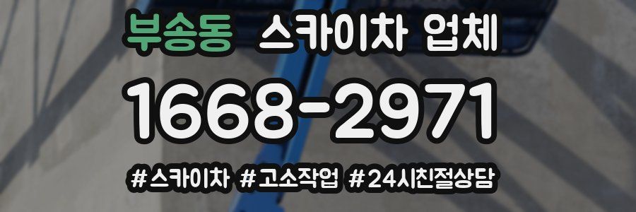 부송동 스카이차 업체