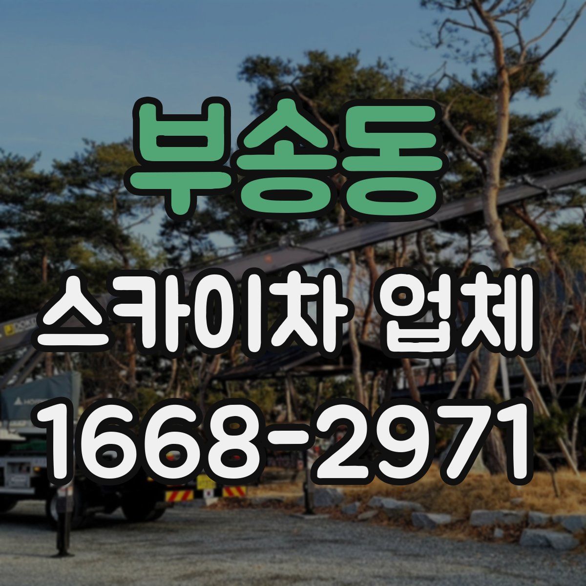 부송동 스카이차 업체