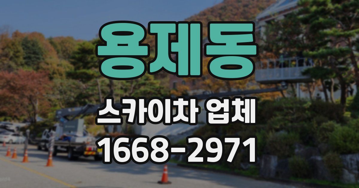 용제동 스카이차 업체