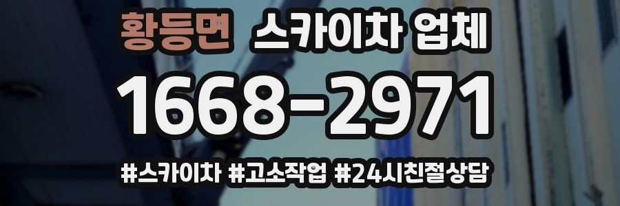 황등면 스카이차 업체