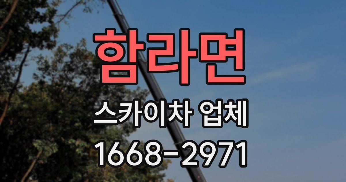 함라면 스카이차 업체
