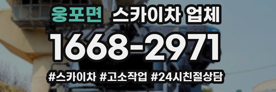웅포면 스카이차 업체