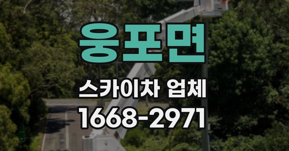 웅포면 스카이차 업체