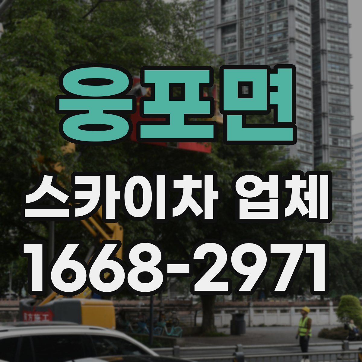 웅포면 스카이차 업체