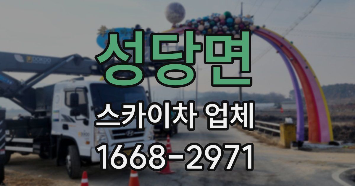 성당면 스카이차 업체