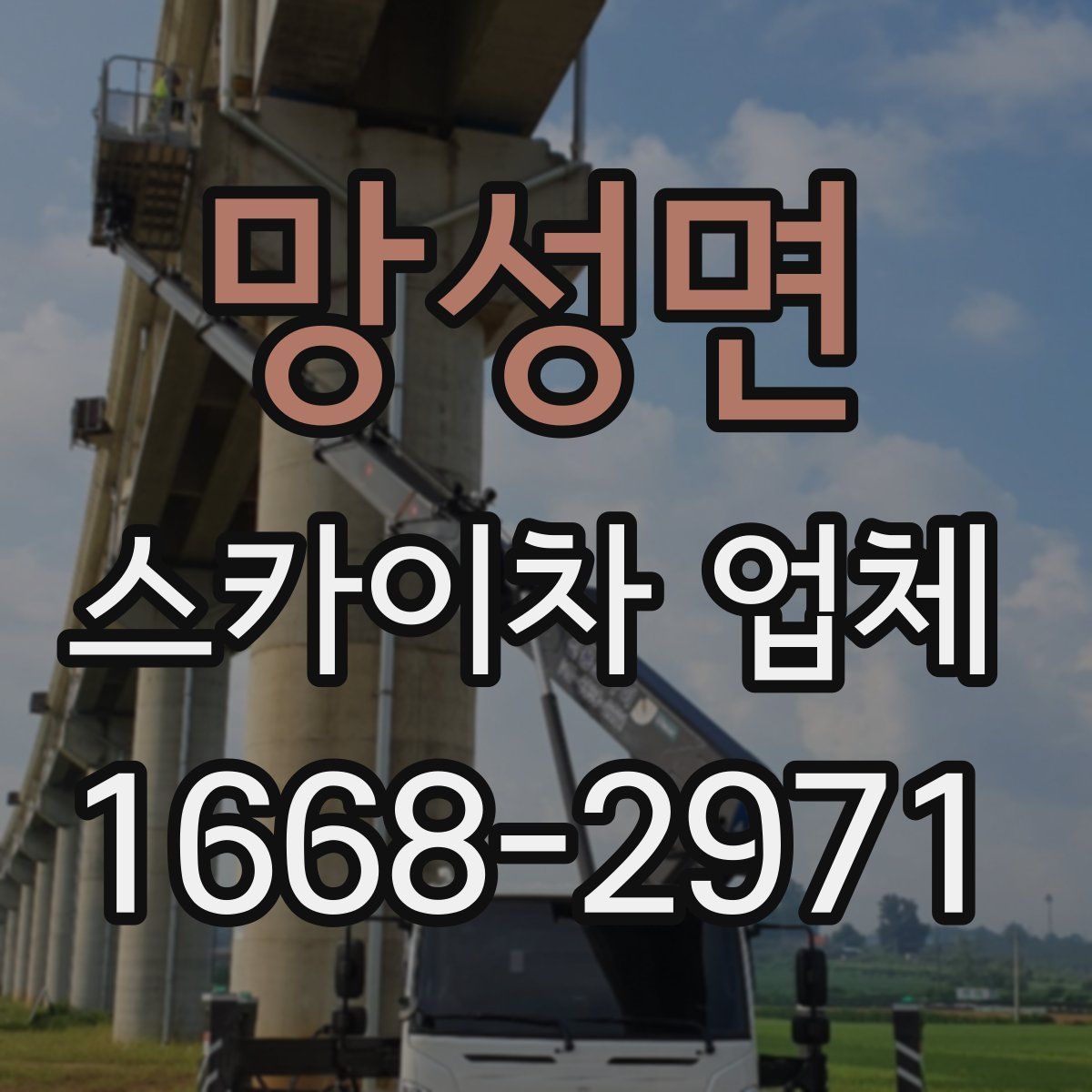 망성면 스카이차 업체