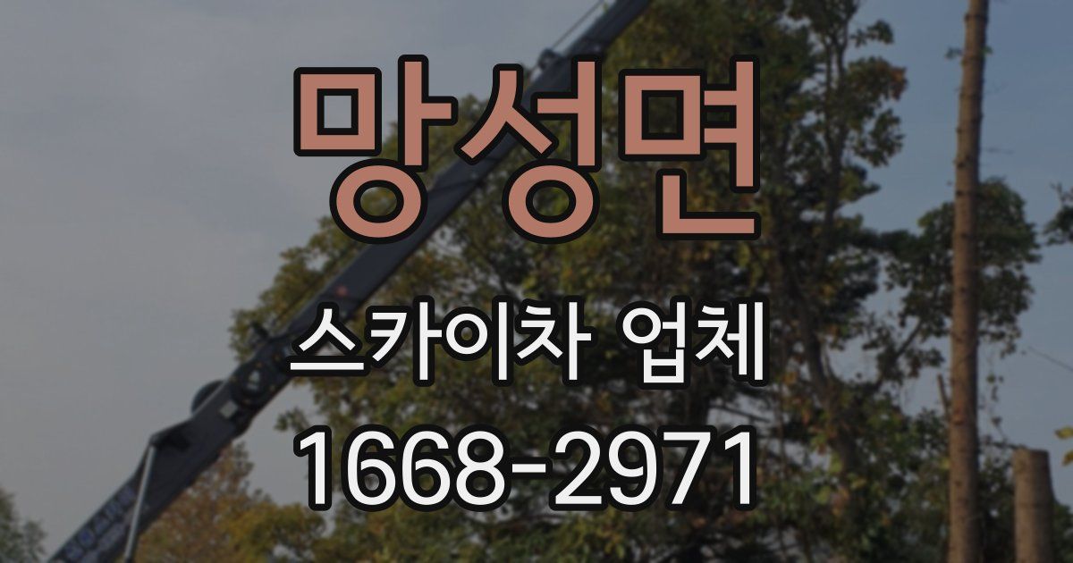 망성면 스카이차 업체
