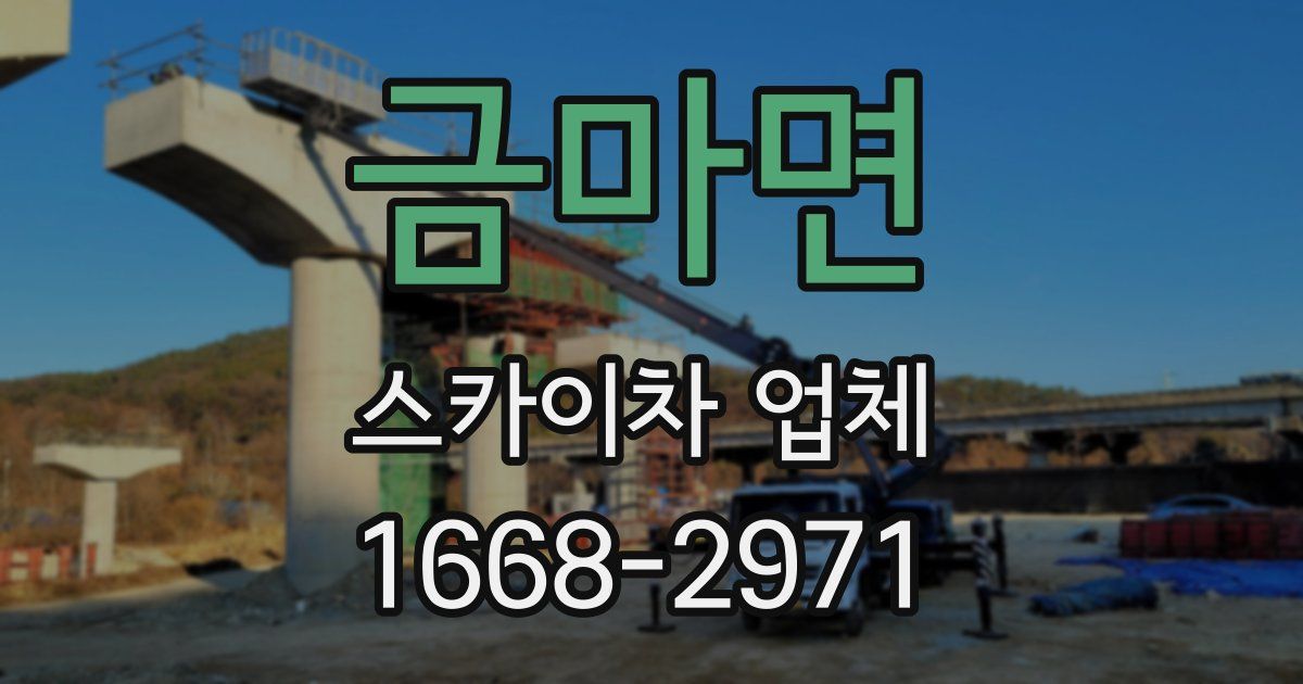 금마면 스카이차 업체