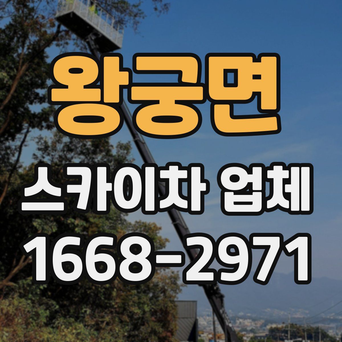 왕궁면 스카이차 업체
