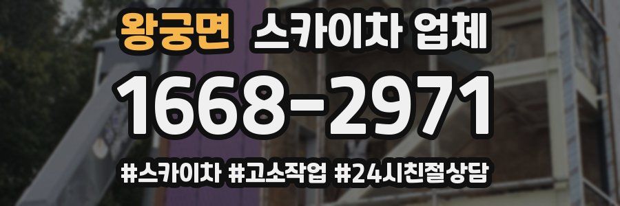왕궁면 스카이차 업체